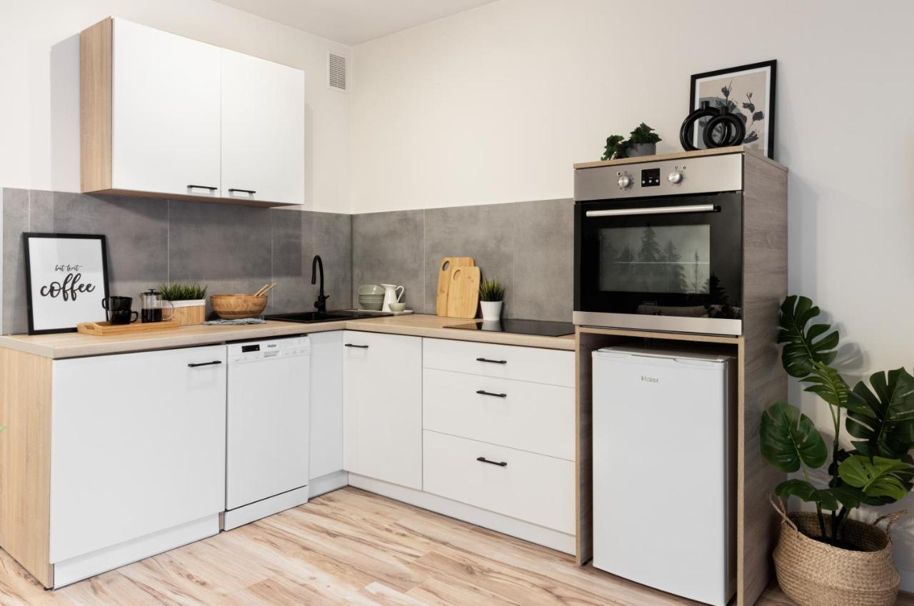 Katowice Chorzow Park Stadion Slaski Apartmenty Siemianowice Slaskie Ngoại thất bức ảnh